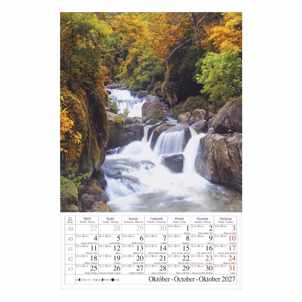 Falinaptár CSG 210x320mm álló Erdeink világa 2027