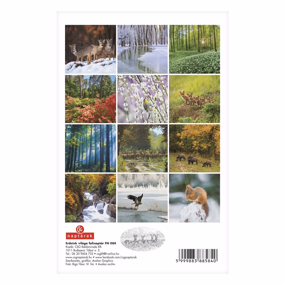 Falinaptár CSG 210x320mm álló Erdeink világa 2027