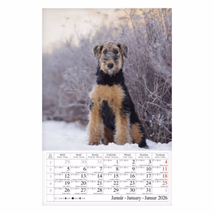 Falinaptár CSG 210x320mm álló Kutyák 2026.