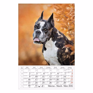 Falinaptár CSG 210x320mm álló Kutyák 2026.