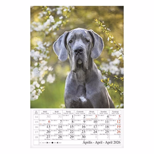 Falinaptár CSG 210x320mm álló Kutyák 2026.