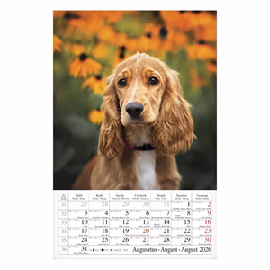 Falinaptár CSG 210x320mm álló Kutyák 2026.