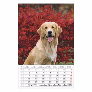 Falinaptár CSG 210x320mm álló Kutyák 2026.