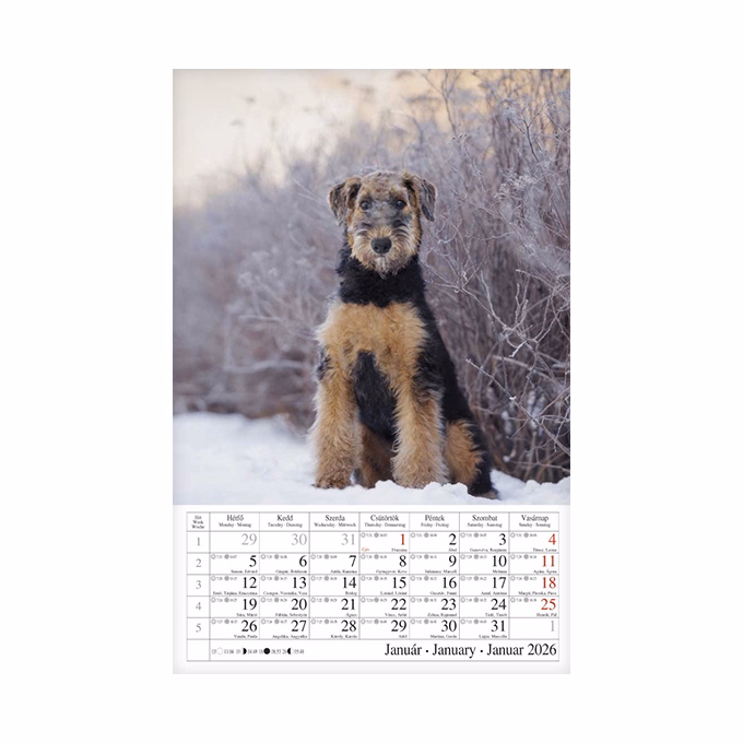 Falinaptár CSG 210x320mm álló Kutyák 2026.