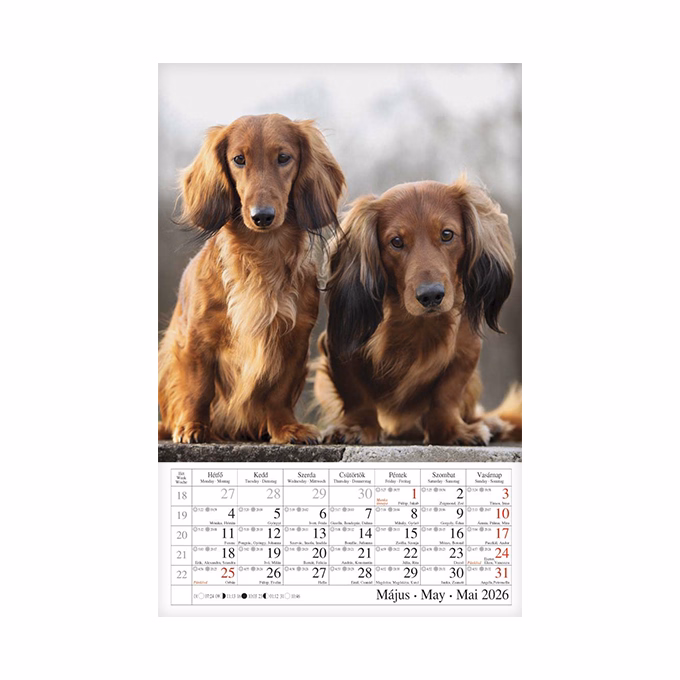 Falinaptár CSG 210x320mm álló Kutyák 2026.