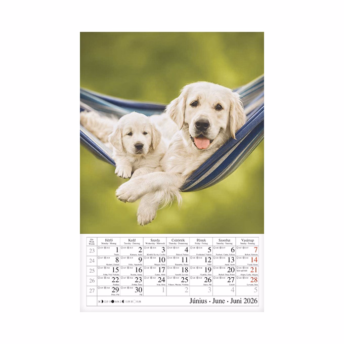Falinaptár CSG 210x320mm álló Kutyák 2026.