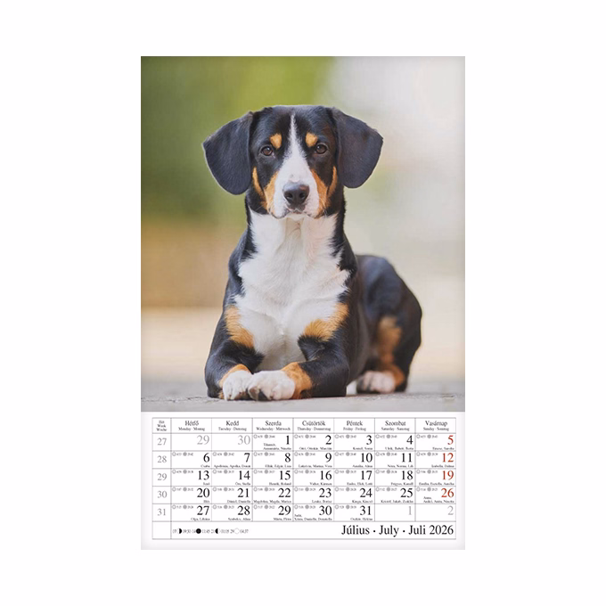 Falinaptár CSG 210x320mm álló Kutyák 2026.