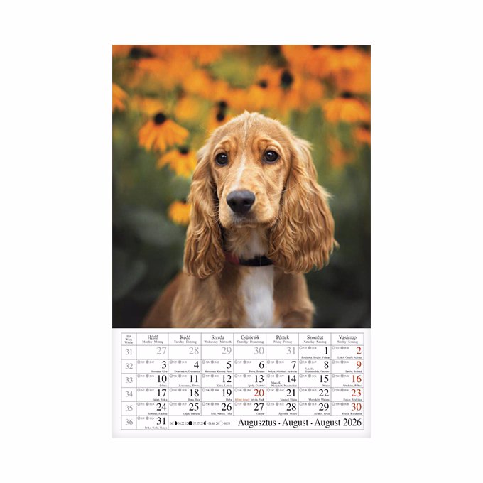 Falinaptár CSG 210x320mm álló Kutyák 2026.