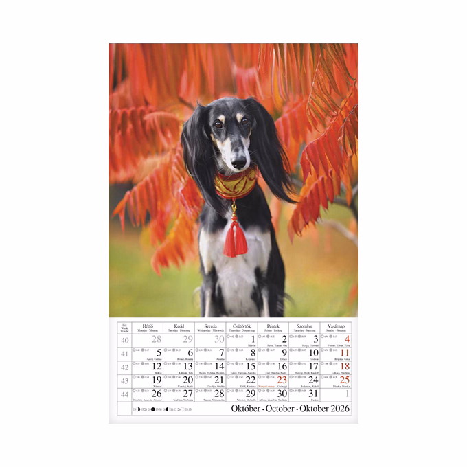 Falinaptár CSG 210x320mm álló Kutyák 2026.