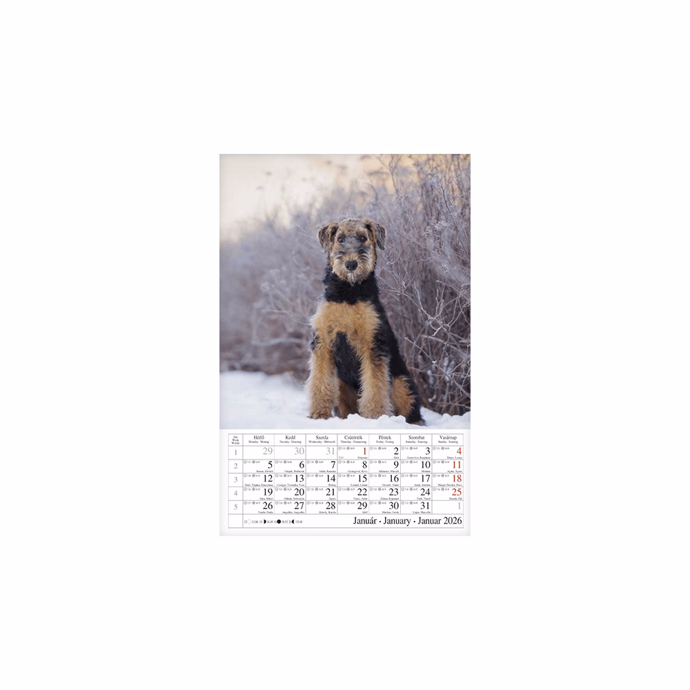 Falinaptár CSG 210x320mm álló Kutyák 2026.