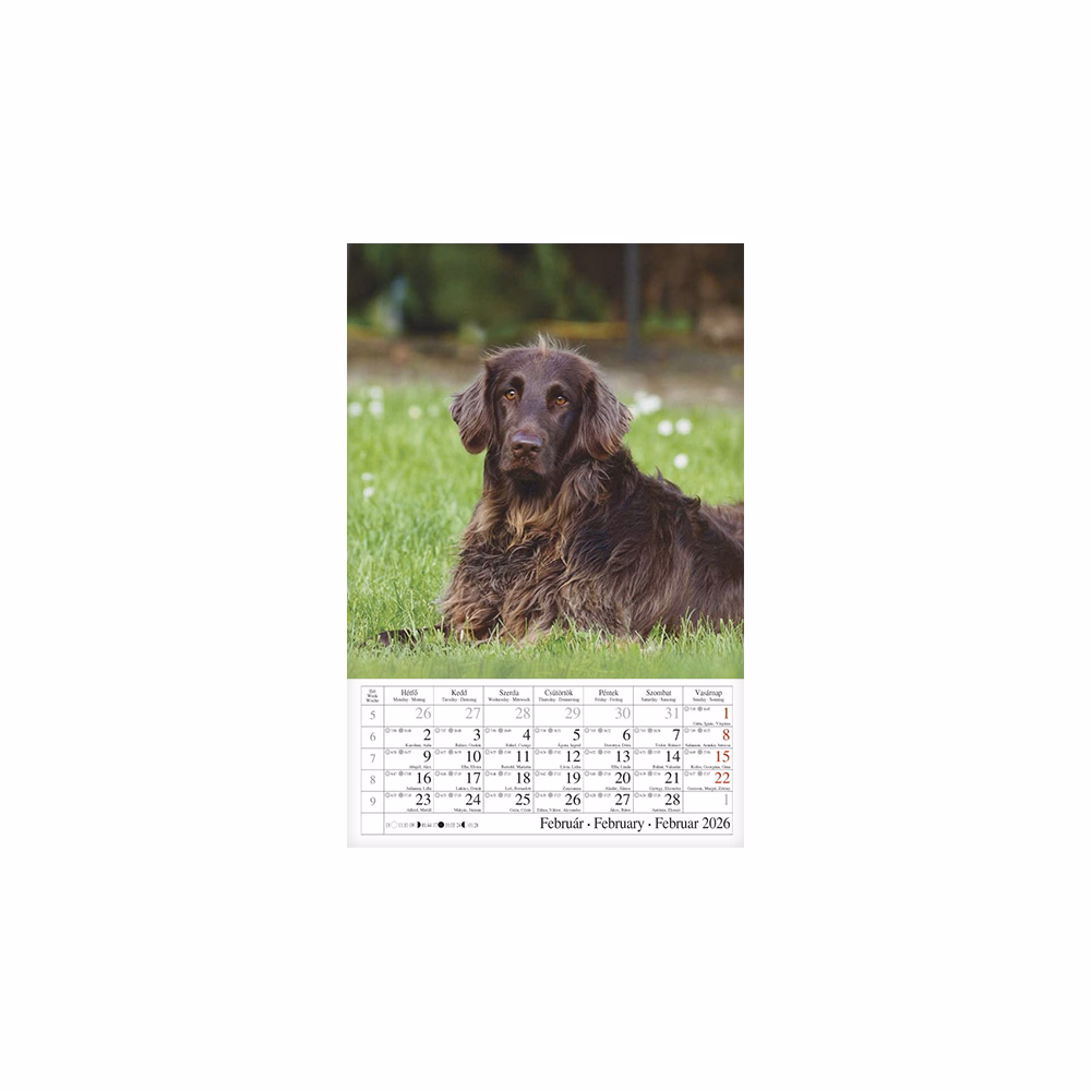 Falinaptár CSG 210x320mm álló Kutyák 2026.