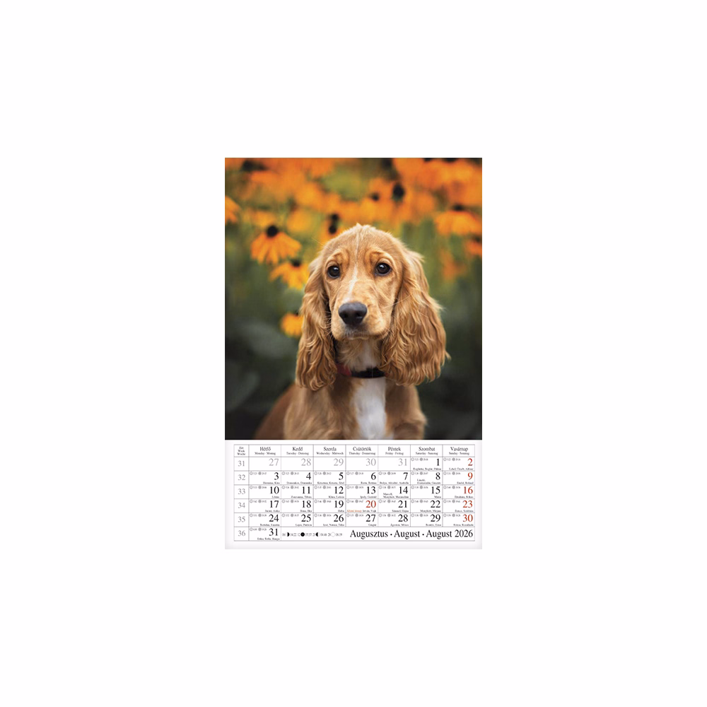 Falinaptár CSG 210x320mm álló Kutyák 2026.