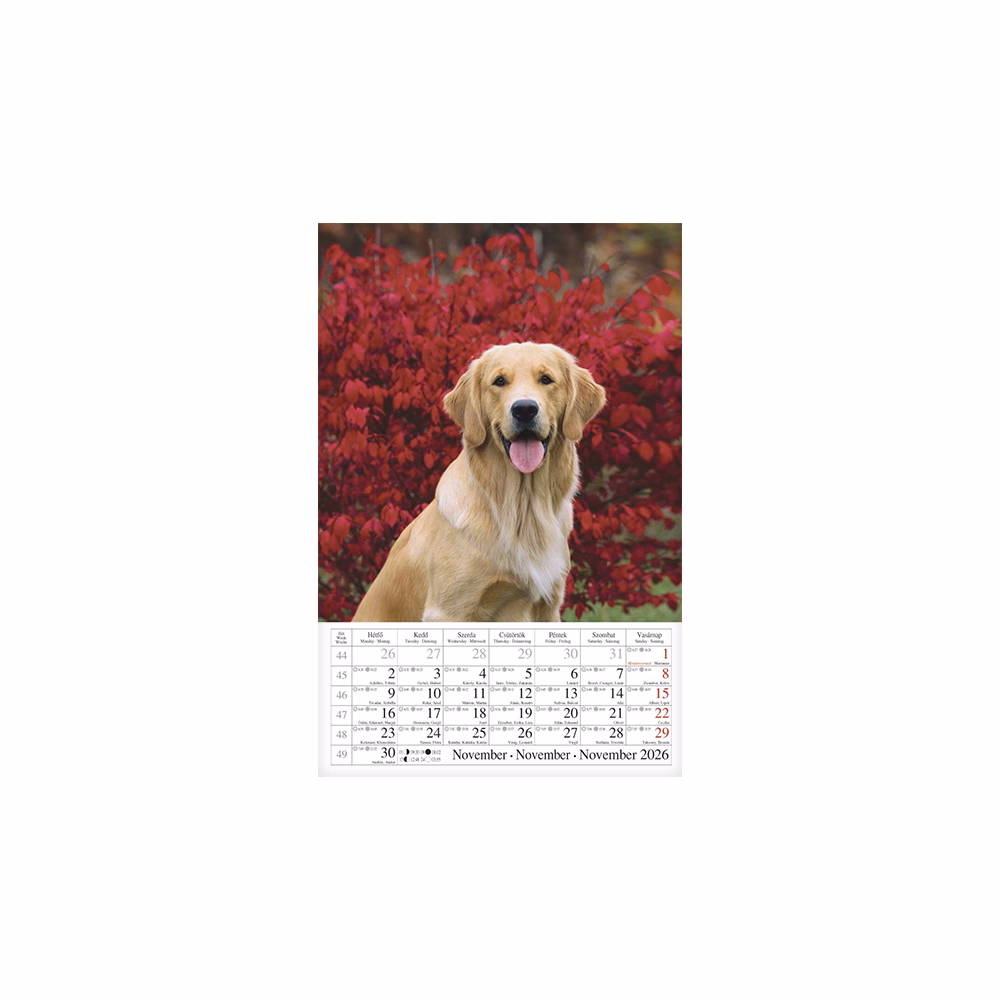 Falinaptár CSG 210x320mm álló Kutyák 2026.