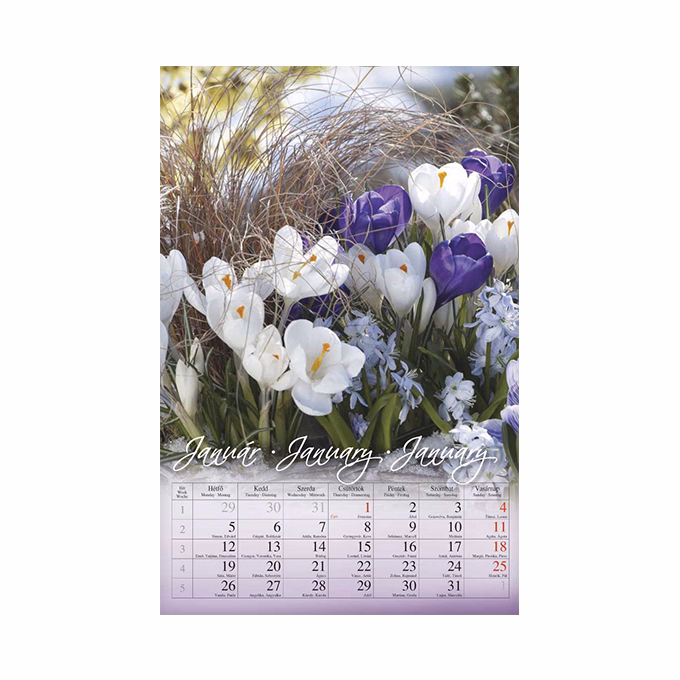 Falinaptár CSG 210x320mm álló Virág 2026.