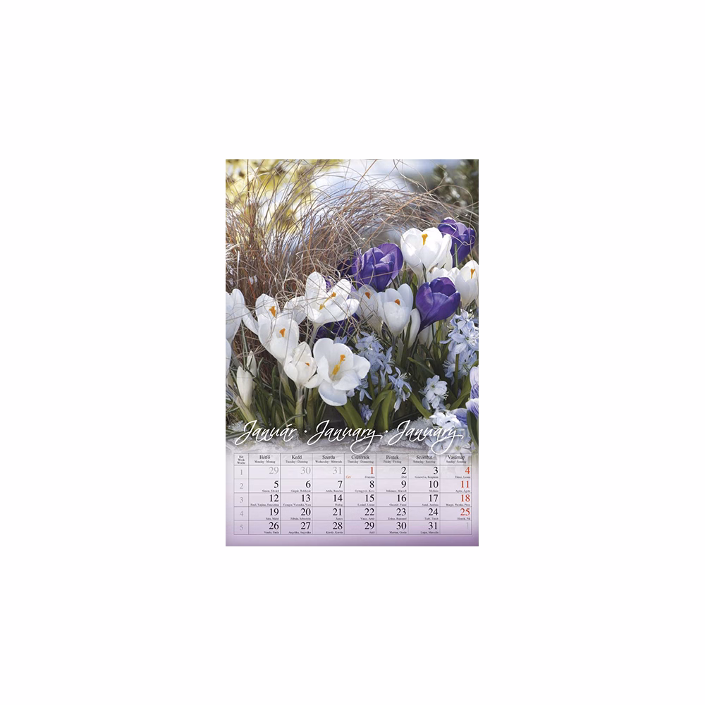 Falinaptár CSG 210x320mm álló Virág 2026.