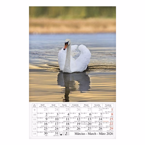 Falinaptár CSG 210x320mm álló Vizeink világa 2026.