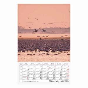 Falinaptár CSG 210x320mm álló Vizeink világa 2026.