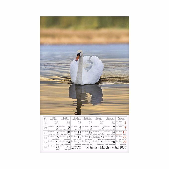 Falinaptár CSG 210x320mm álló Vizeink világa 2026.