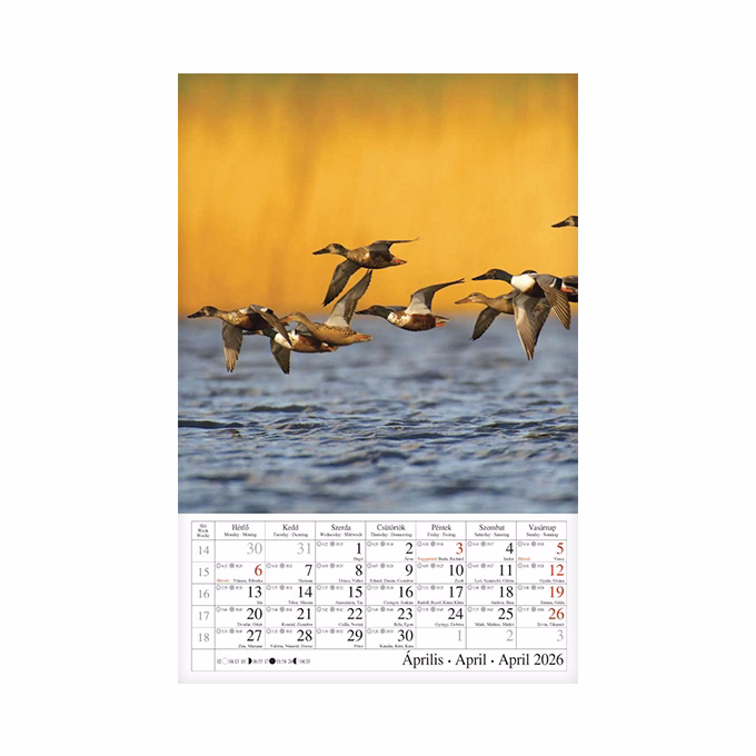 Falinaptár CSG 210x320mm álló Vizeink világa 2026.