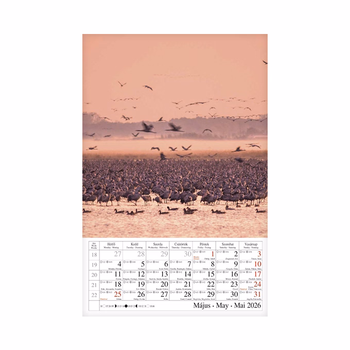 Falinaptár CSG 210x320mm álló Vizeink világa 2026.