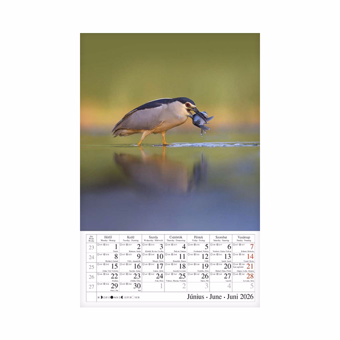 Falinaptár CSG 210x320mm álló Vizeink világa 2026.