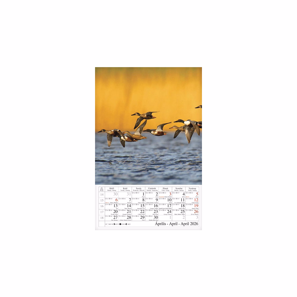 Falinaptár CSG 210x320mm álló Vizeink világa 2026.