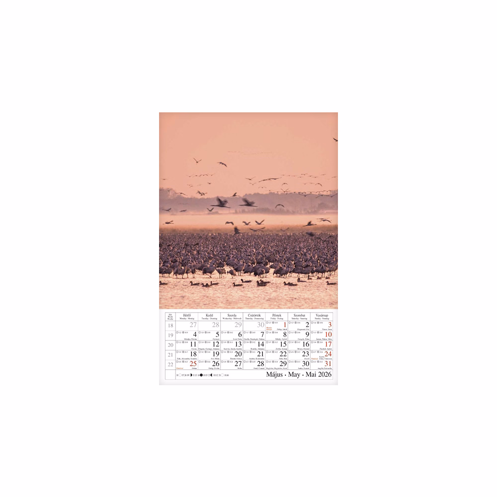 Falinaptár CSG 210x320mm álló Vizeink világa 2026.