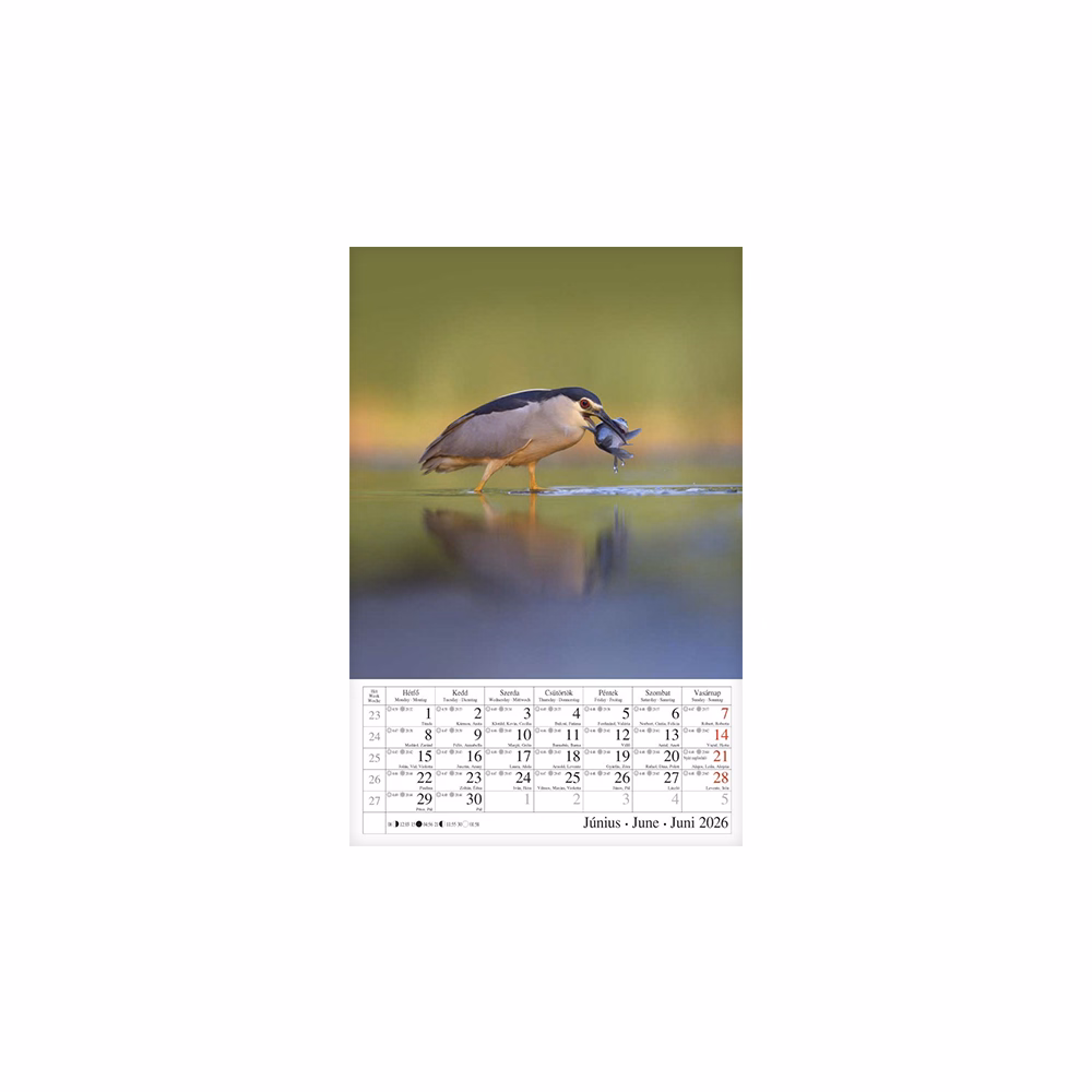 Falinaptár CSG 210x320mm álló Vizeink világa 2026.