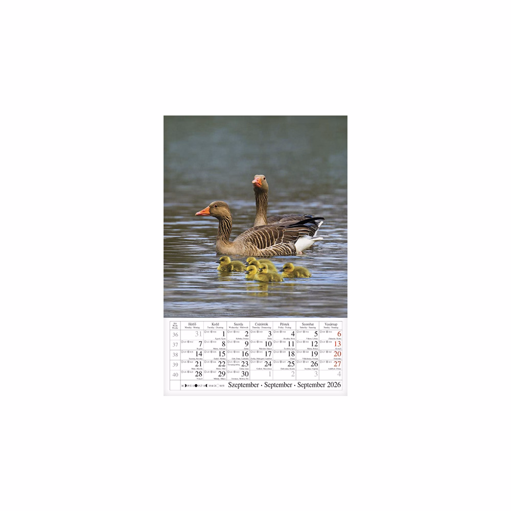 Falinaptár CSG 210x320mm álló Vizeink világa 2026.