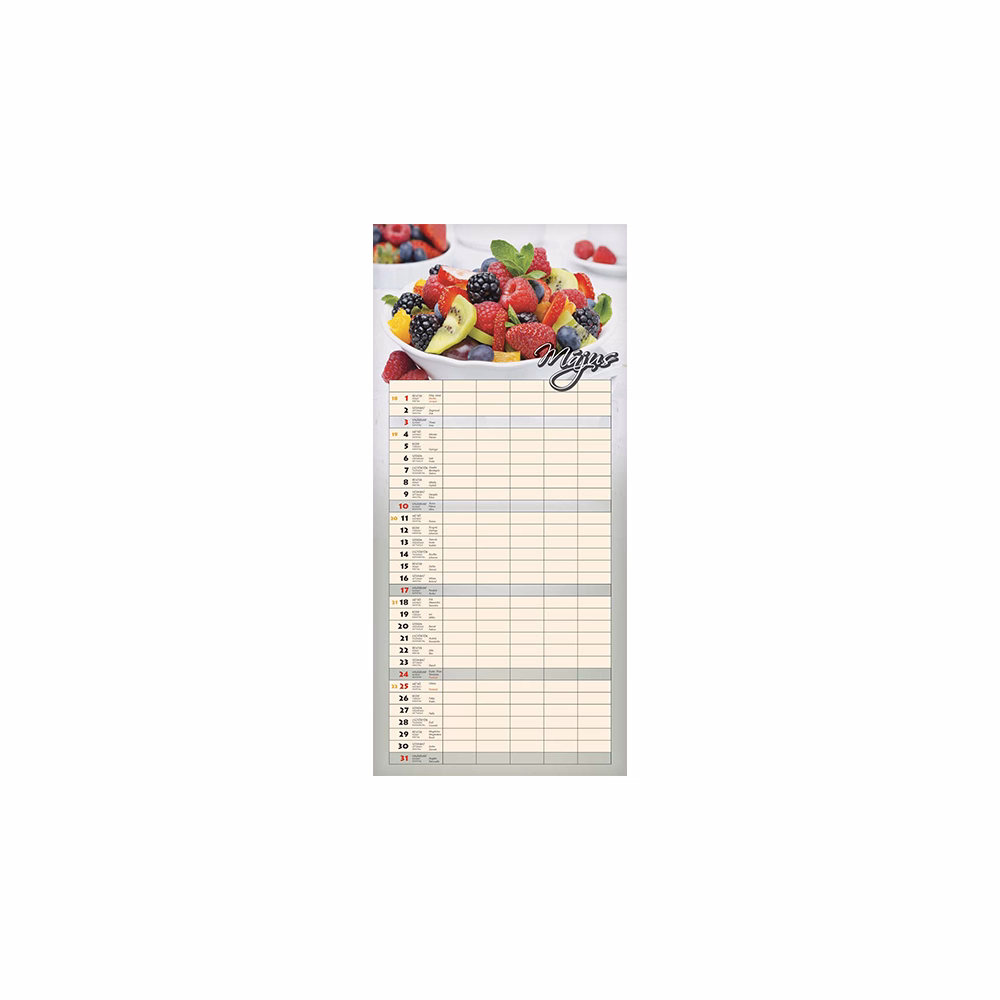 Falinaptár CSG 220x480mm álló Családi 2026.