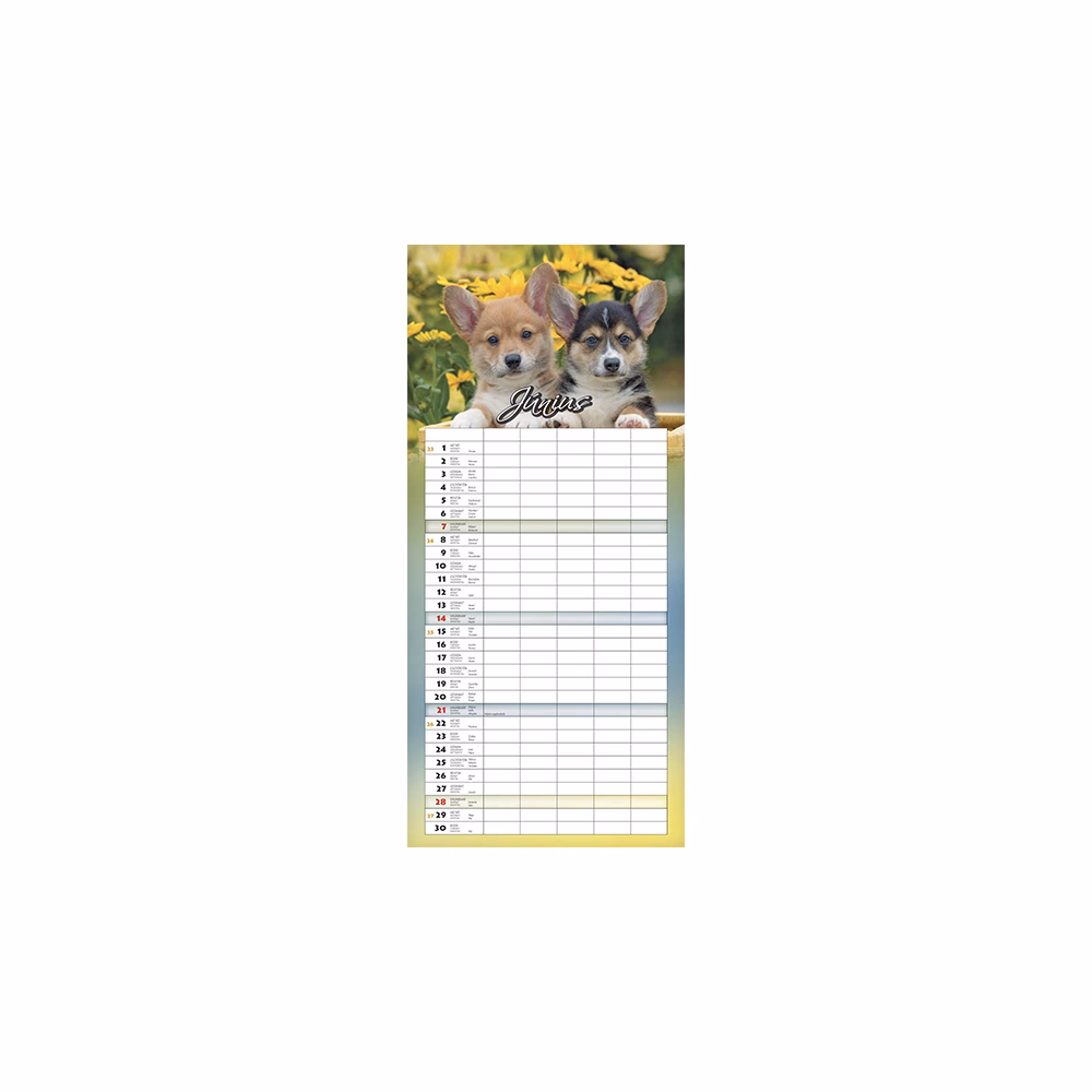 Falinaptár CSG 220x480mm álló Családi 2026.