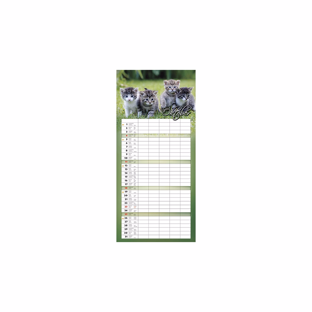 Falinaptár CSG 220x480mm álló Családi 2026.