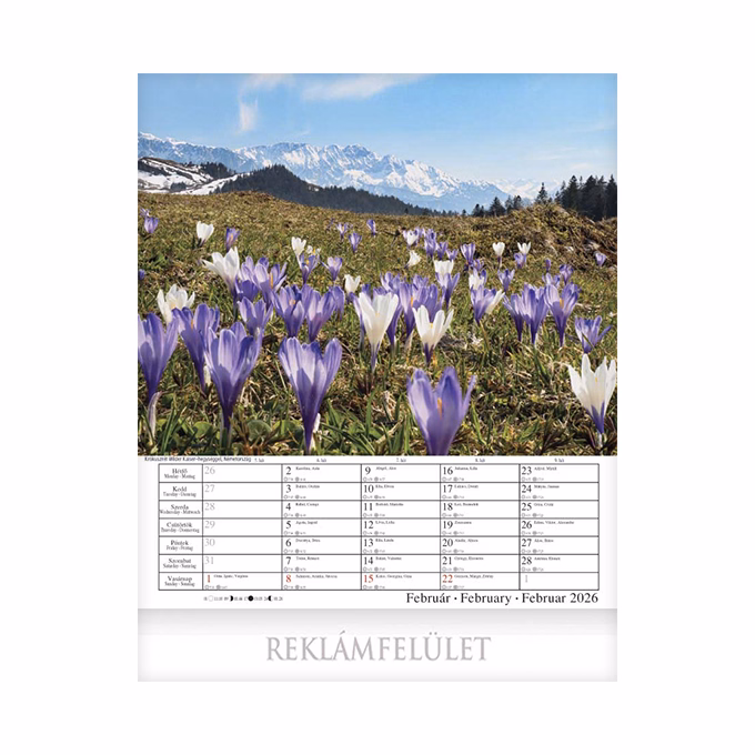 Falinaptár CSG 300x340mm álló Alpok 2026.