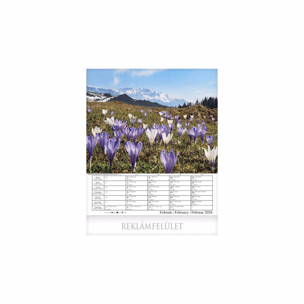 Falinaptár CSG 300x340mm álló Alpok 2026.