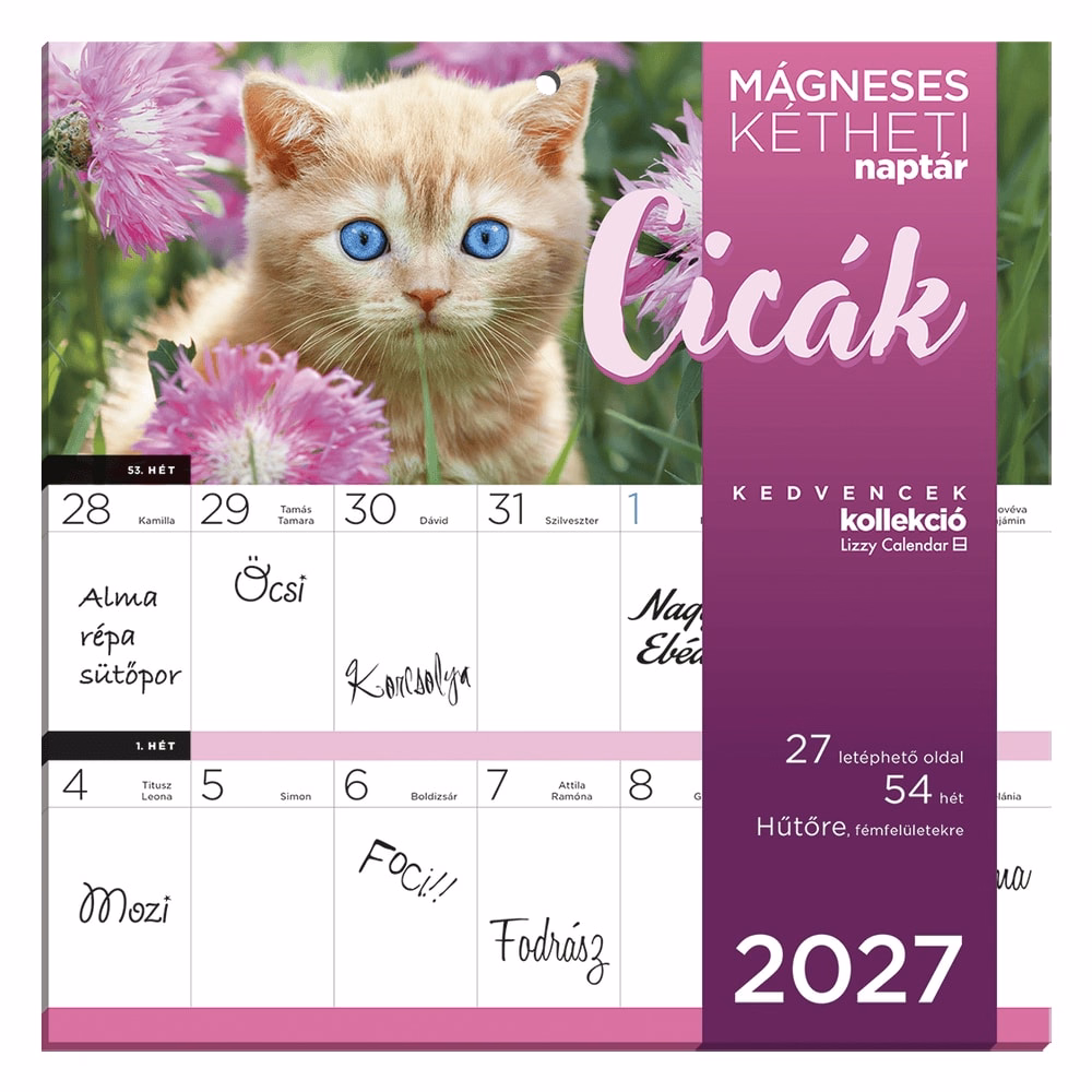 Falinaptár LIZZYCALENDAR 220x220mm 2 hetes mágneses Cicák 2027