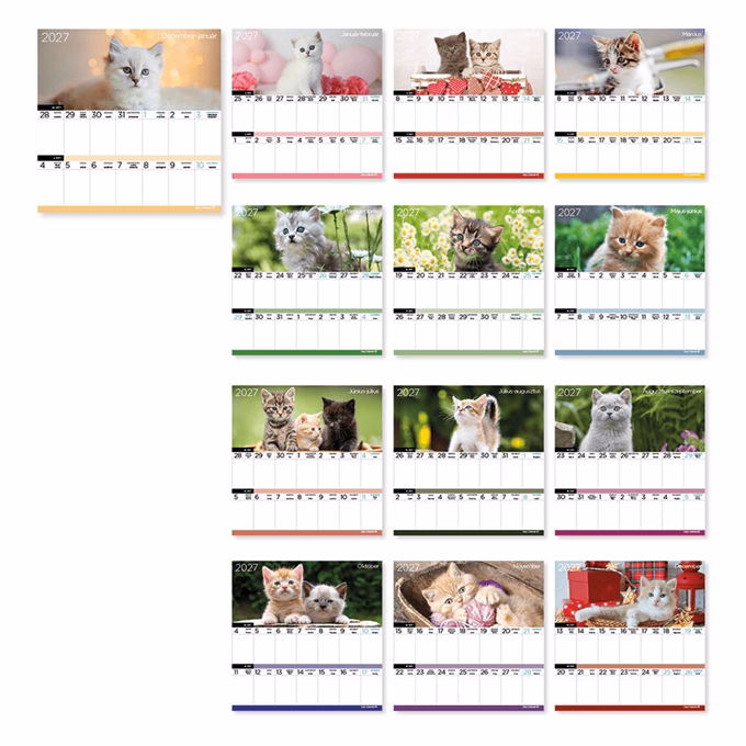 Falinaptár LIZZYCALENDAR 220x220mm 2 hetes mágneses Cicák 2027