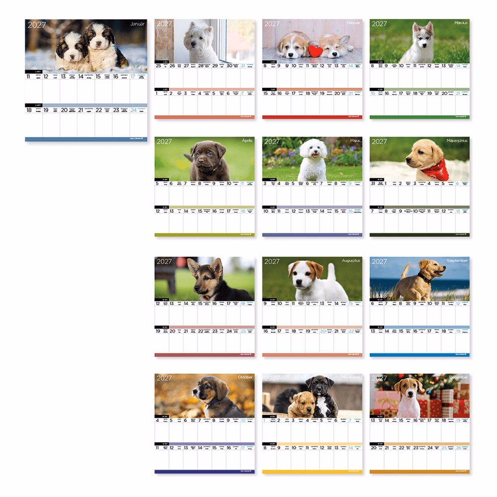 Falinaptár LIZZYCALENDAR 220x220mm 2 hetes mágneses Kutyák 2027