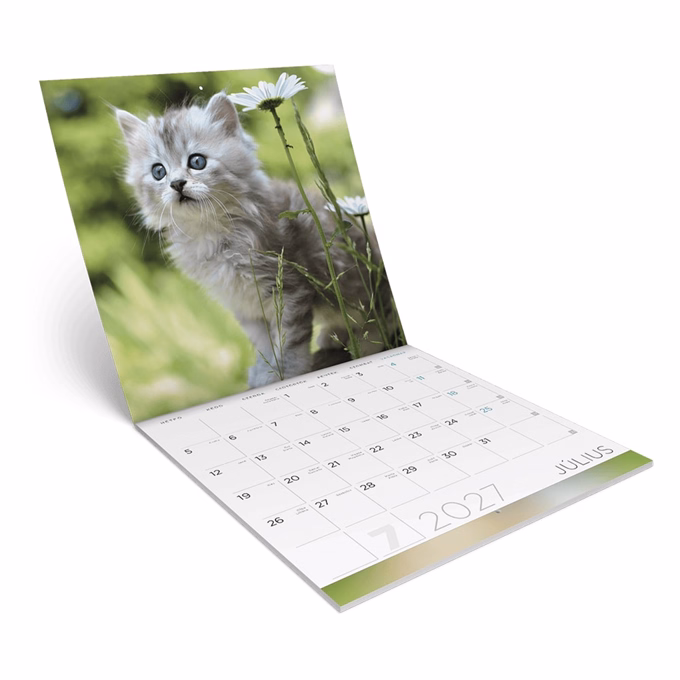 Falinaptár LIZZYCALENDAR 300x600mm álló Cicák 2027