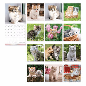Falinaptár LIZZYCALENDAR 300x600mm álló Cicák 2027