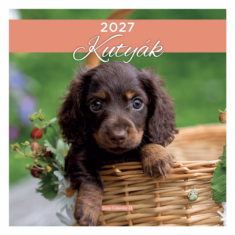 Falinaptár LIZZYCALENDAR 300x600mm álló Kutyák 2027