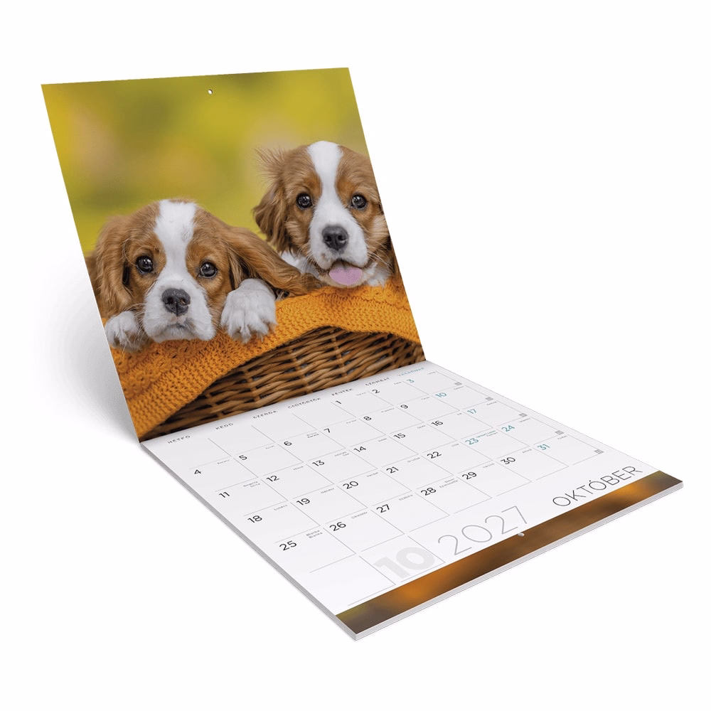 Falinaptár LIZZYCALENDAR 300x600mm álló Kutyák 2027