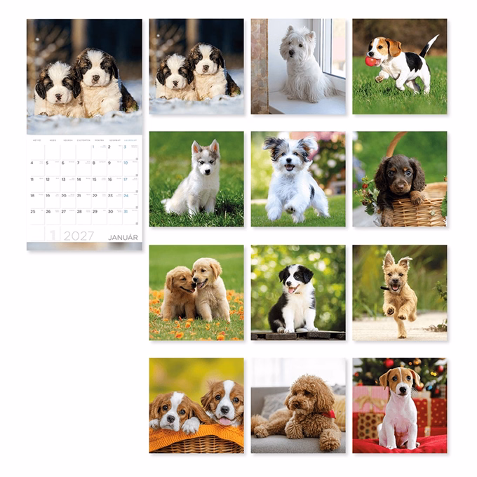 Falinaptár LIZZYCALENDAR 300x600mm álló Kutyák 2027