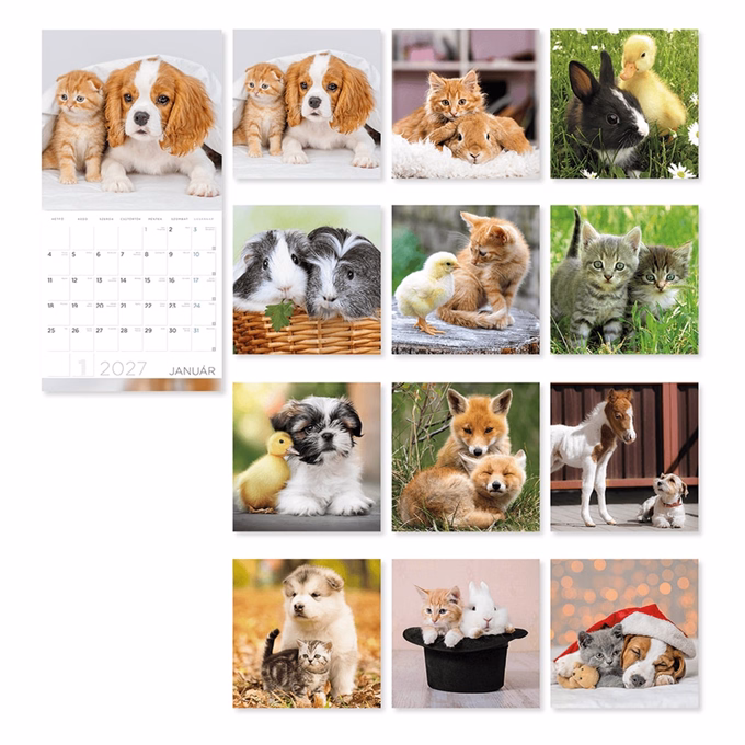 Falinaptár LIZZYCALENDAR 300x600mm álló Little Friends 2027