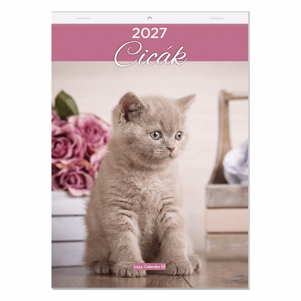 Falinaptár LIZZYCALENDAR A/4 álló Cicák 2027