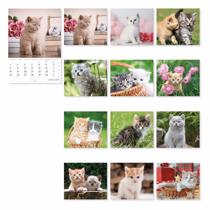 Falinaptár LIZZYCALENDAR A/4 álló Cicák 2027
