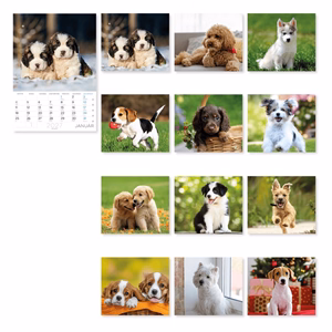 Falinaptár LIZZYCALENDAR A/4 álló Kutyák 2027