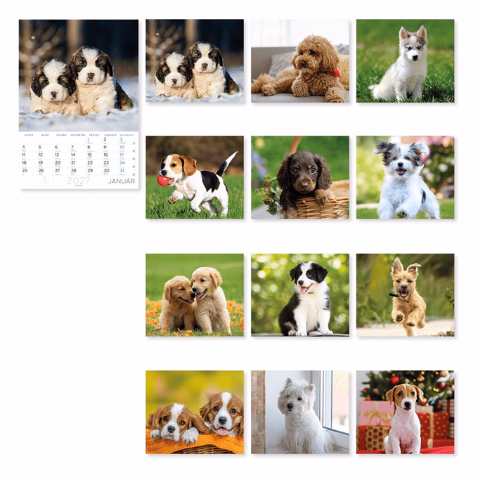 Falinaptár LIZZYCALENDAR A/4 álló Kutyák 2027