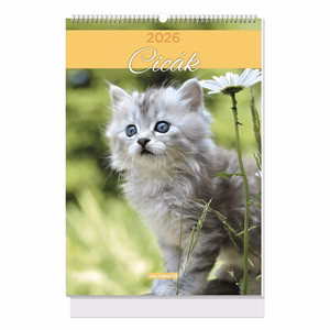 Falinaptár LIZZYCALENDAR B/4 álló spirálozott Cicák 2027