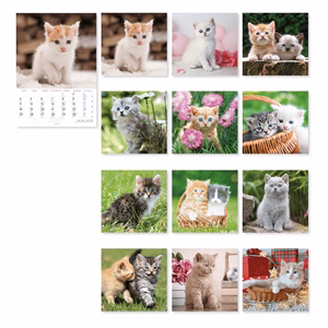 Falinaptár LIZZYCALENDAR B/4 álló spirálozott Cicák 2027