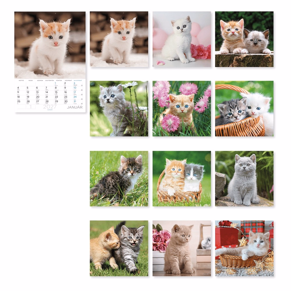 Falinaptár LIZZYCALENDAR B/4 álló spirálozott Cicák 2027
